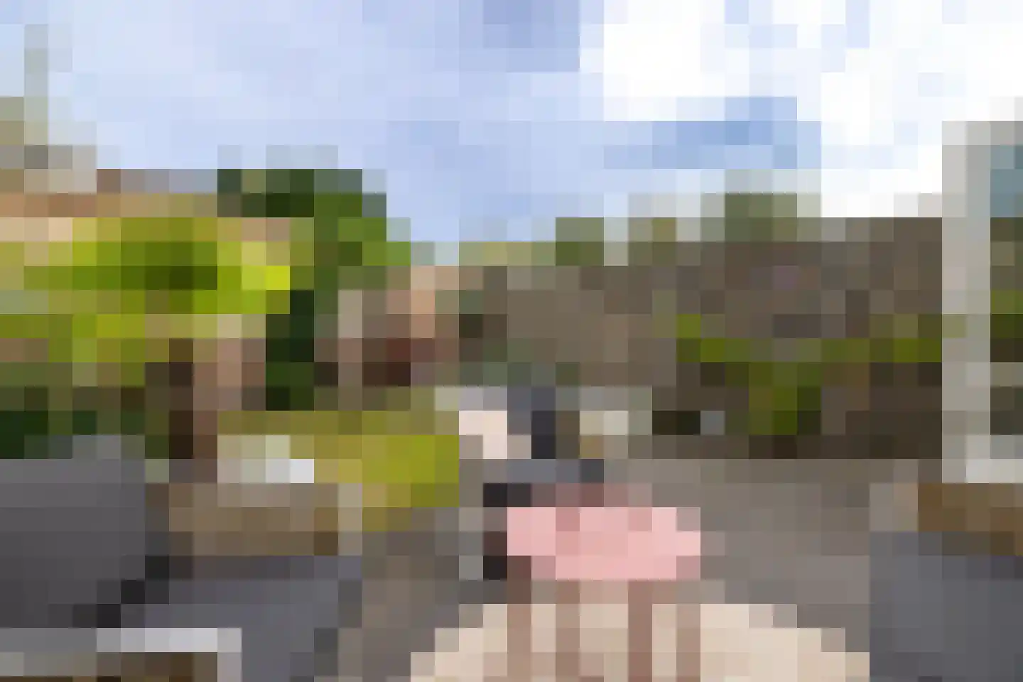 Rijndal 4 Doetinchem thumbnail 13