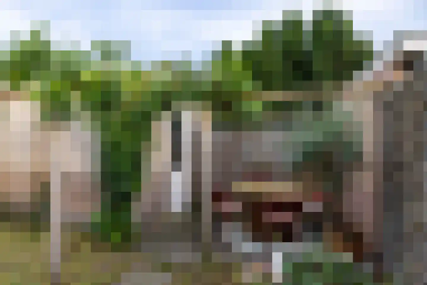 Rijndal 4 Doetinchem thumbnail 17