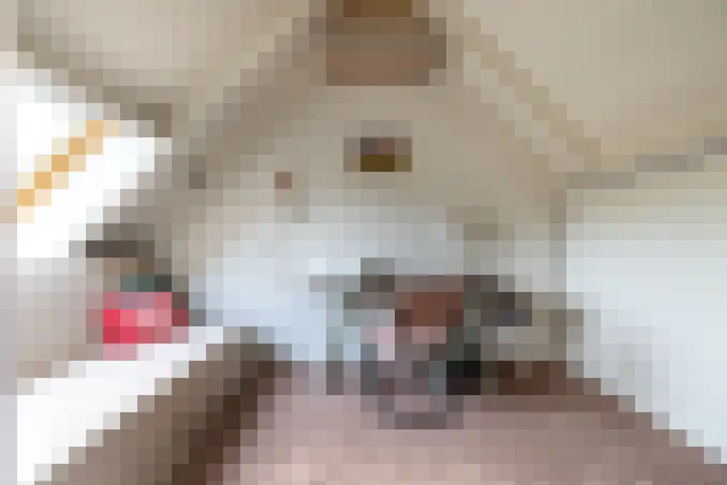 Rijndal 4 Doetinchem thumbnail 37