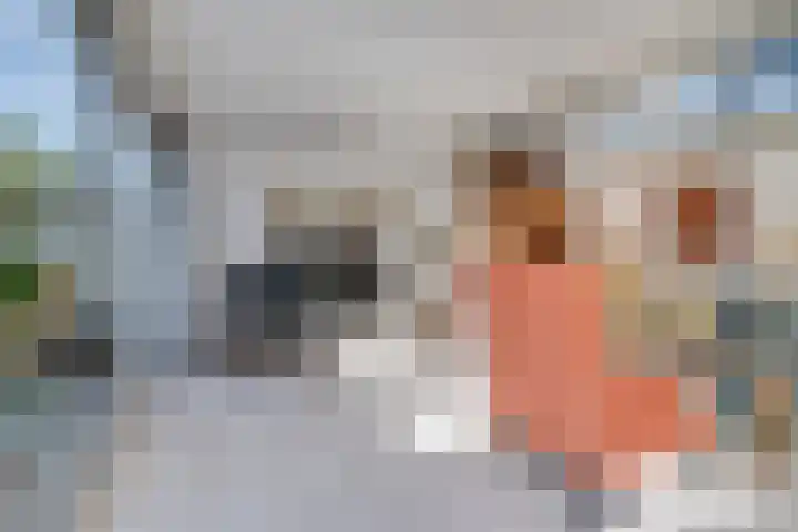 Rijndal 54 Capelle aan den IJssel thumbnail 11