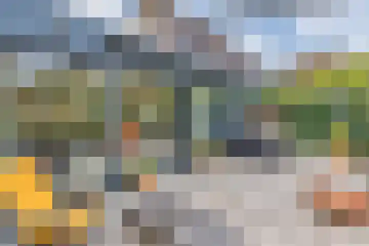 Rijndal 54 Capelle aan den IJssel thumbnail 13