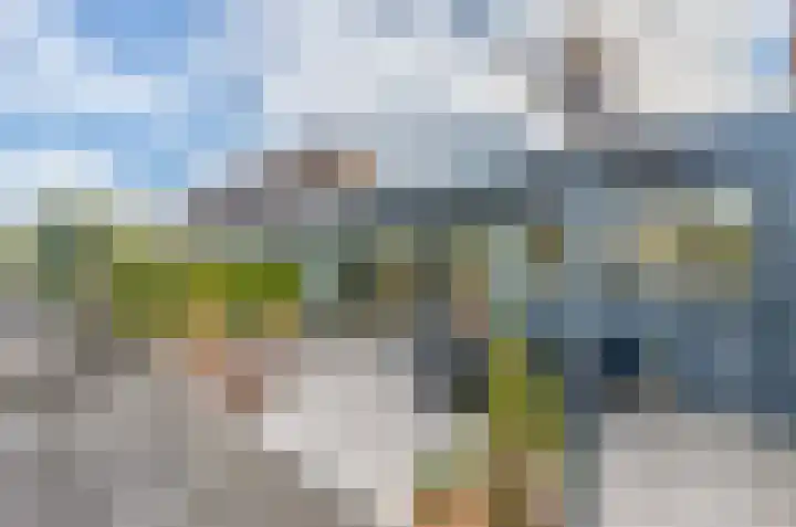 Rijndal 54 Capelle aan den IJssel thumbnail 14