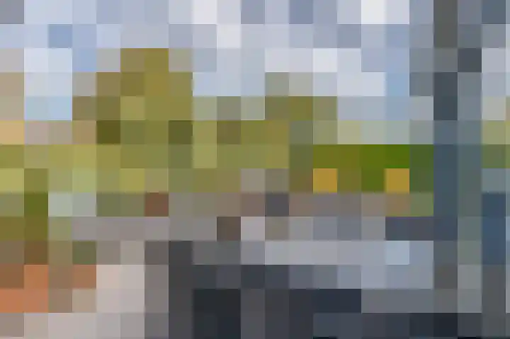 Rijndal 54 Capelle aan den IJssel thumbnail 15