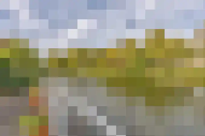 Rijndal 54 Capelle aan den IJssel thumbnail 16