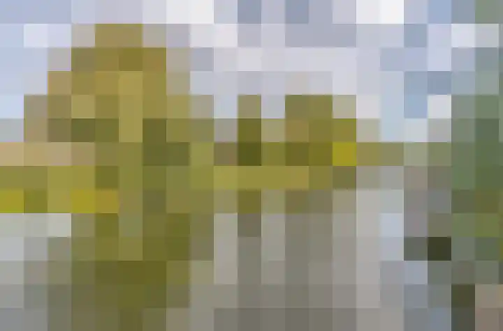 Rijndal 54 Capelle aan den IJssel thumbnail 17