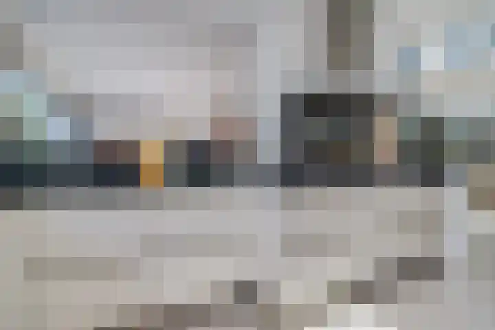 Rijndal 54 Capelle aan den IJssel thumbnail 20