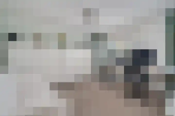 Rijndal 54 Capelle aan den IJssel thumbnail 25