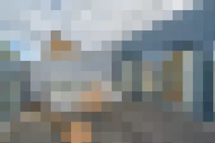 Rijndal 54 Capelle aan den IJssel thumbnail 32