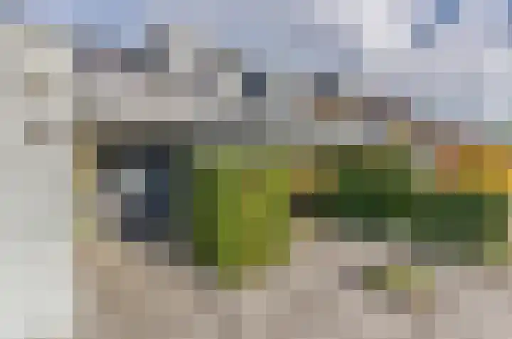 Rijndal 54 Capelle aan den IJssel thumbnail 33