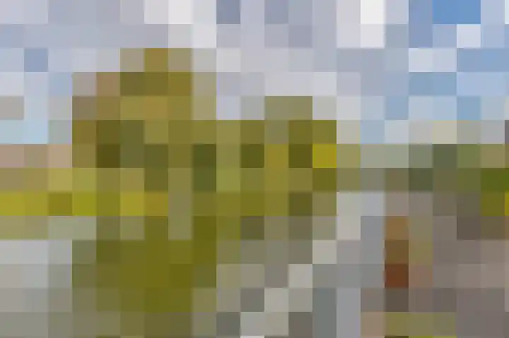 Rijndal 54 Capelle aan den IJssel thumbnail 4