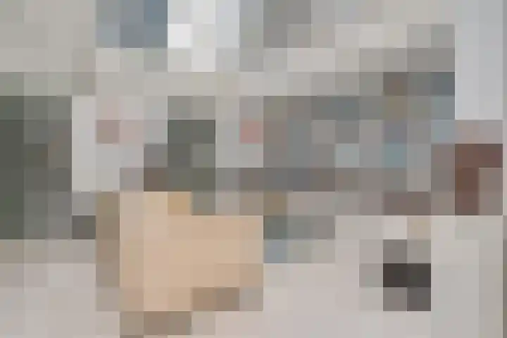 Rijndal 54 Capelle aan den IJssel thumbnail 5