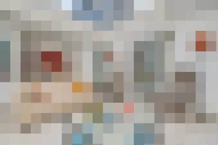 Rijndal 54 Capelle aan den IJssel thumbnail 6