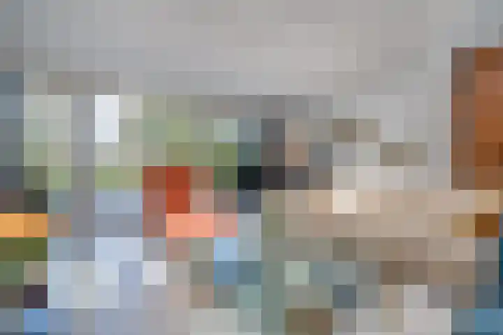 Rijndal 54 Capelle aan den IJssel thumbnail 9