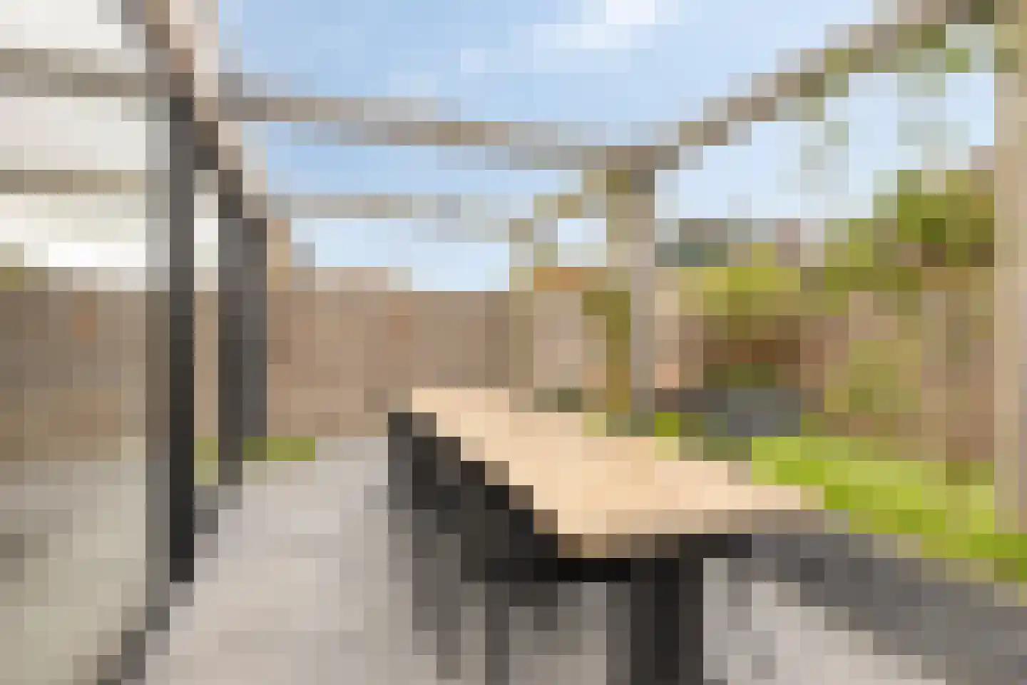 Rijndal 55 Capelle aan den IJssel thumbnail 26