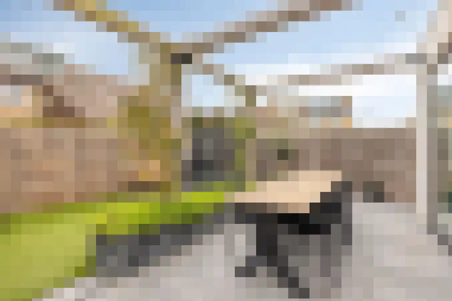 Rijndal 55 Capelle aan den IJssel thumbnail 27
