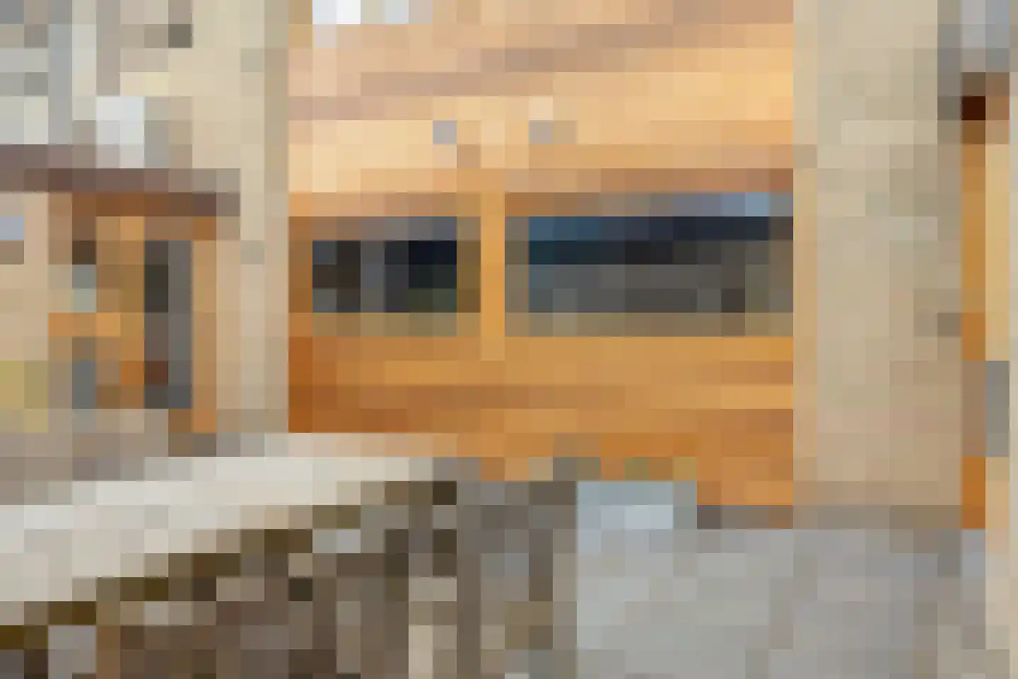 Rijndal 55 Capelle aan den IJssel thumbnail 31