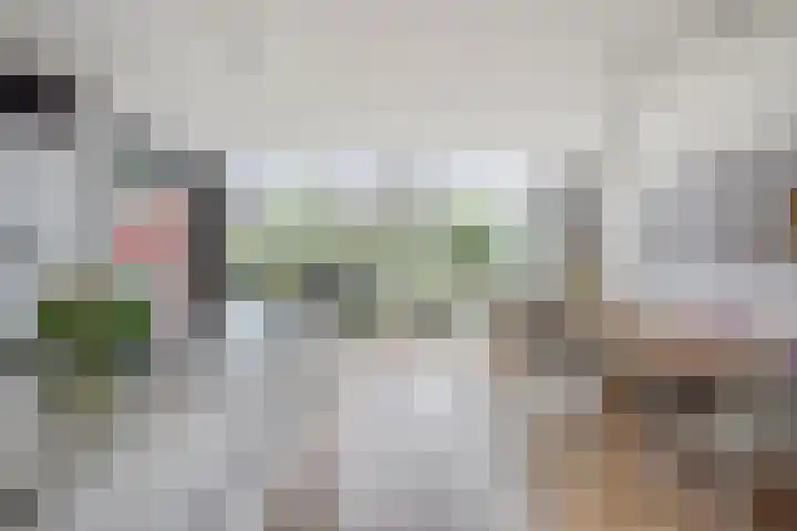 Rijndijk 142 Leiden thumbnail 12