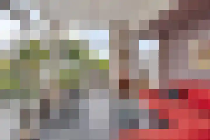 Rijndijk 142 Leiden thumbnail 23