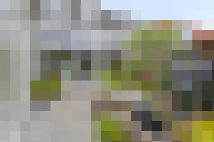 Rijndijk 142 Leiden thumbnail 26
