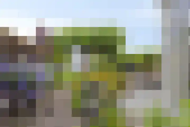 Rijndijk 142 Leiden thumbnail 30