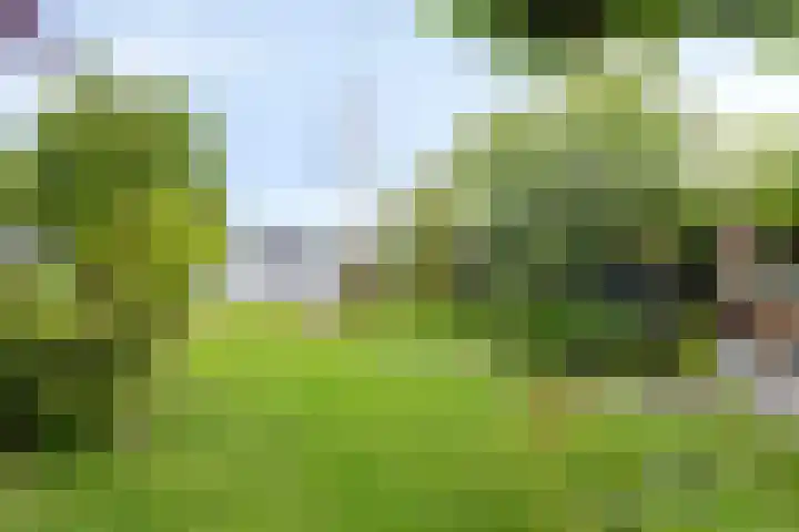 Rijndijk 142 Leiden thumbnail 31