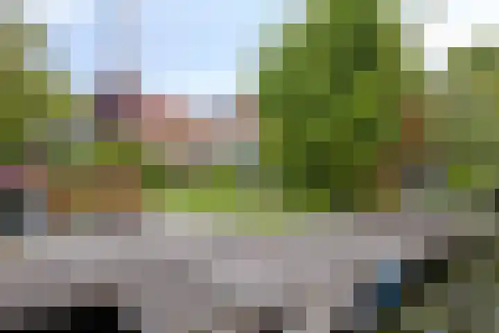 Rijndijk 142 Leiden thumbnail 34