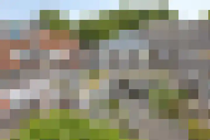 Rijndijk 142 Leiden thumbnail 38