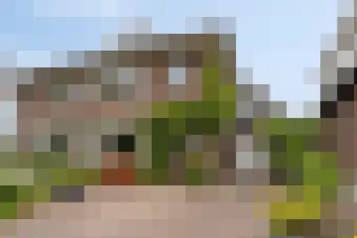 Rijndijk 142 Leiden thumbnail 4