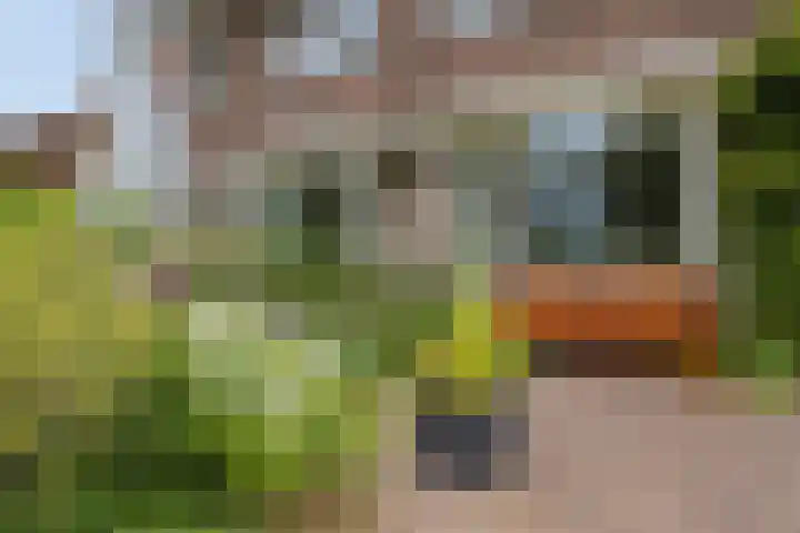 Rijndijk 142 Leiden thumbnail 5