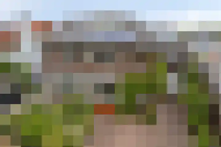 Rijndijk 142 Leiden thumbnail 56
