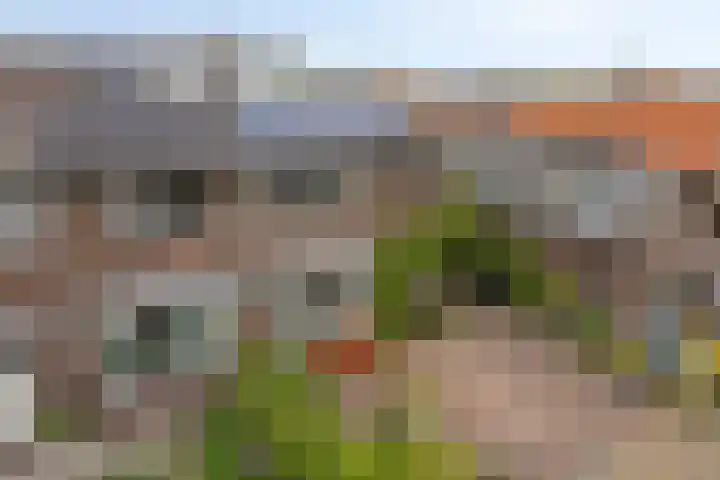 Rijndijk 142 Leiden thumbnail 57
