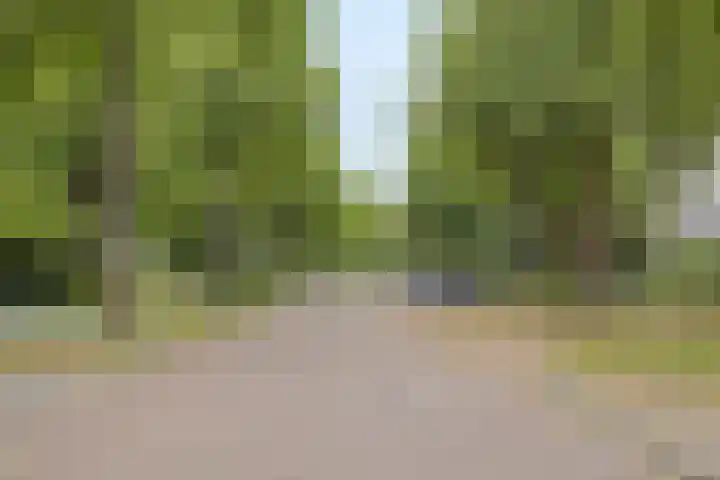 Rijndijk 142 Leiden thumbnail 58