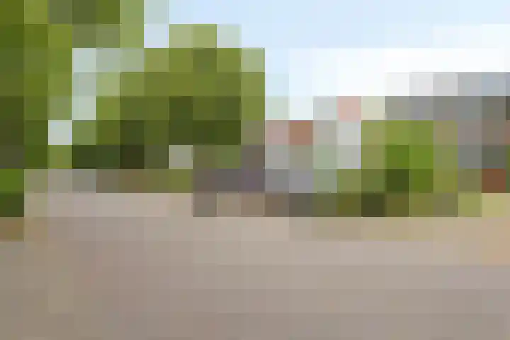 Rijndijk 142 Leiden thumbnail 59