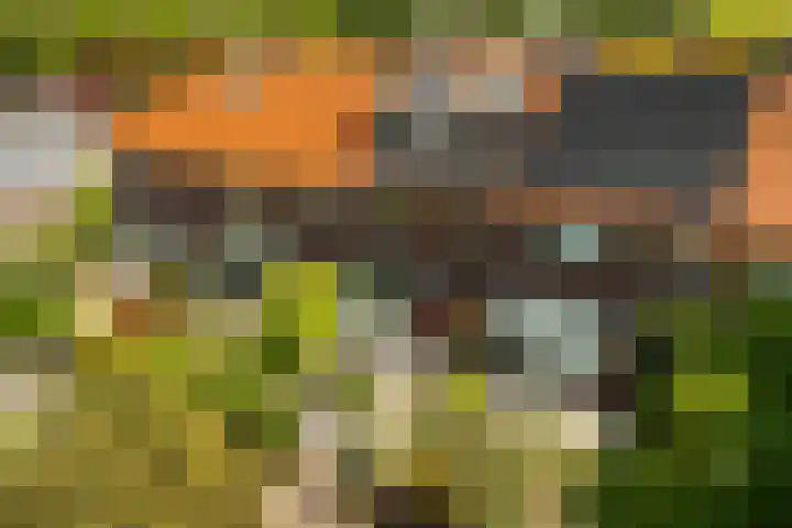 Rijndijk 174 in Leiden