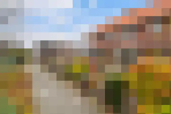 Rijndijk 176 Leiden thumbnail 6