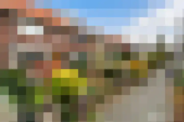 Rijndijk 176 Leiden thumbnail 7