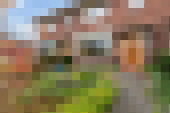 Rijndijk 176 Leiden thumbnail 8