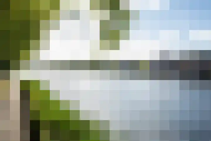 Rijndijk 184 A Hazerswoude-Rijndijk thumbnail 19