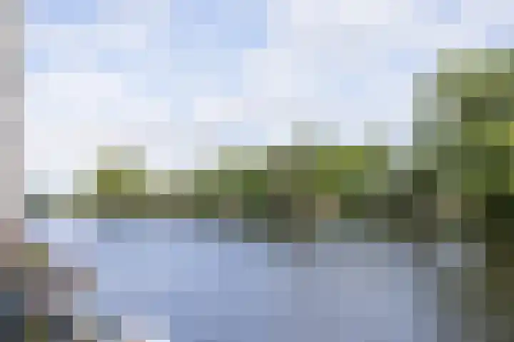 Rijndijk 184 A Hazerswoude-Rijndijk thumbnail 9