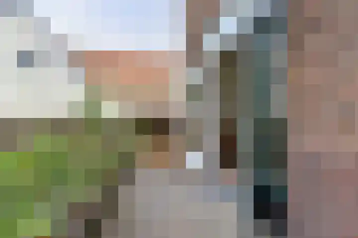 Rijndijk 240 Leiden thumbnail 30
