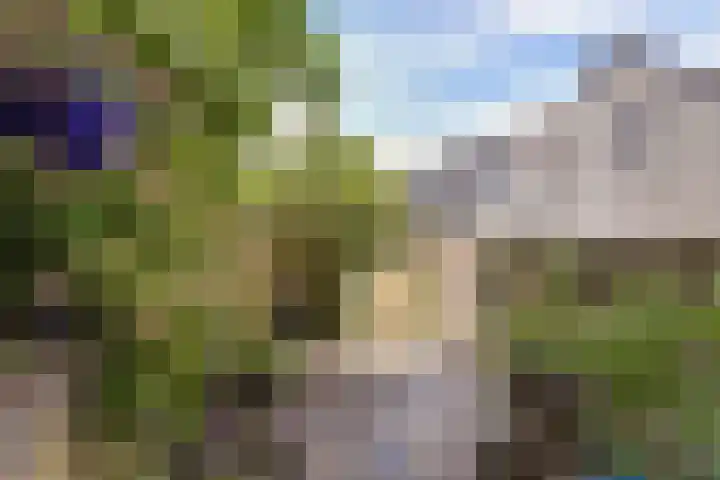 Rijndijk 240 Leiden thumbnail 31