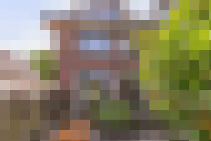 Rijndijk 240 Leiden thumbnail 32