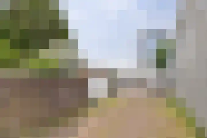Rijndijk 240 Leiden thumbnail 33