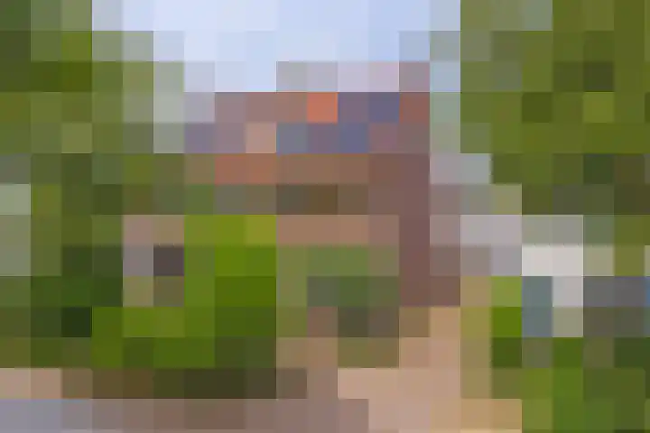 Rijndijk 240 Leiden thumbnail 35