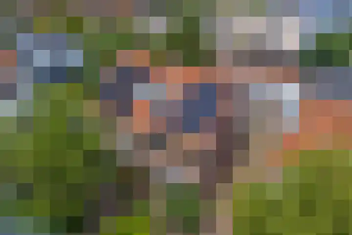 Rijndijk 240 Leiden thumbnail 36
