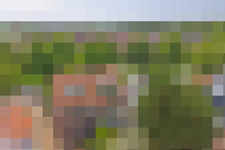 Rijndijk 240 Leiden thumbnail 38