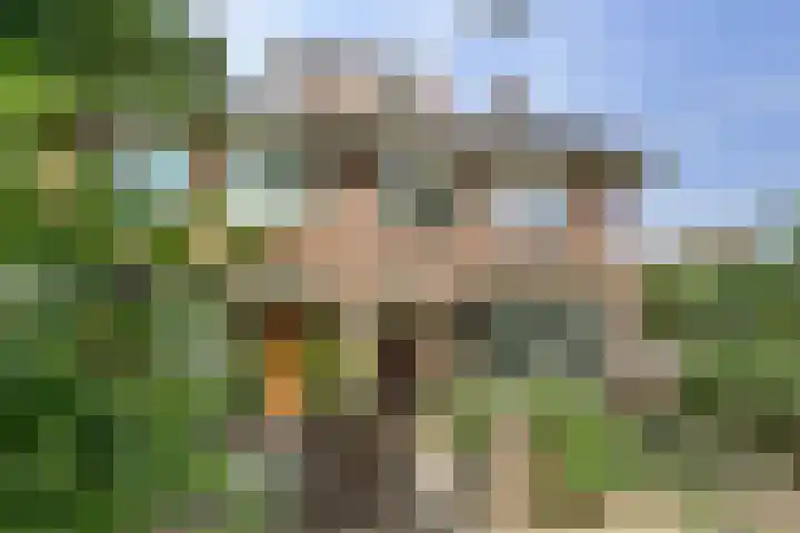 Rijndijk 240 Leiden thumbnail 7