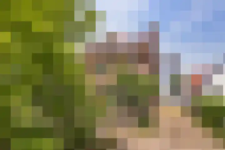 Rijndijk 240 Leiden thumbnail 8