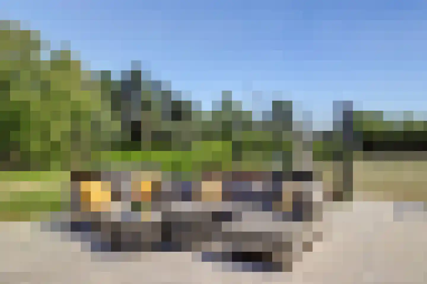 Rijndijk 257 A Hazerswoude-Rijndijk thumbnail 104