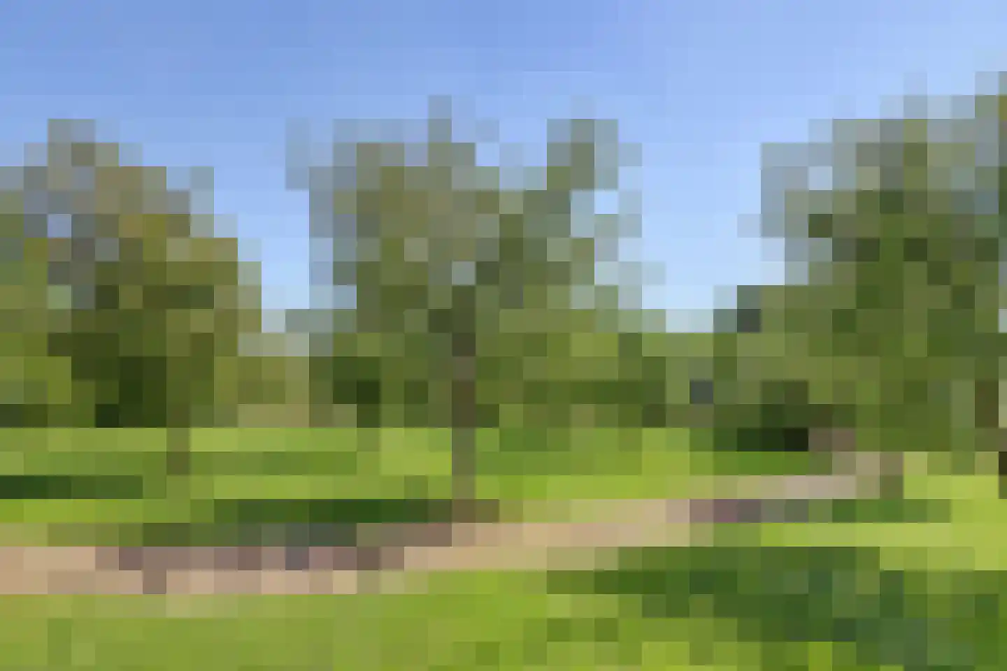Rijndijk 257 A Hazerswoude-Rijndijk thumbnail 113